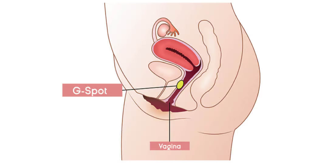 จุดสุดยอดของผู้หญิงอยู่ตรงไหนกันแน่? เทคนิคกระตุ้นที่คู่รักควรรู้