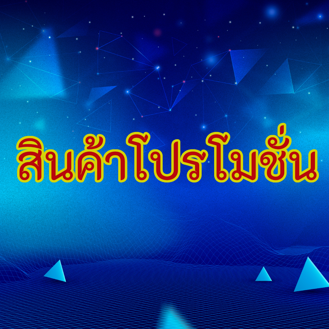 สินค้าโปรโมชั่น