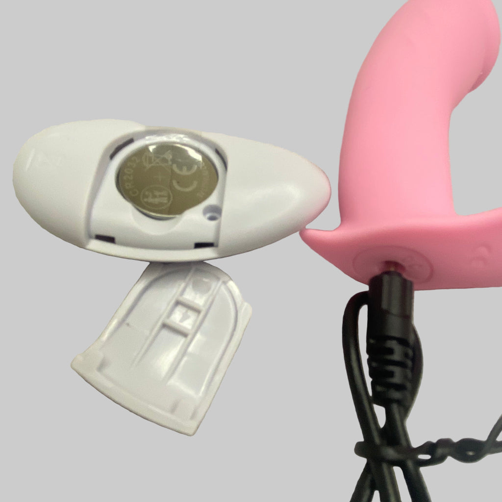 Remote Control Egg