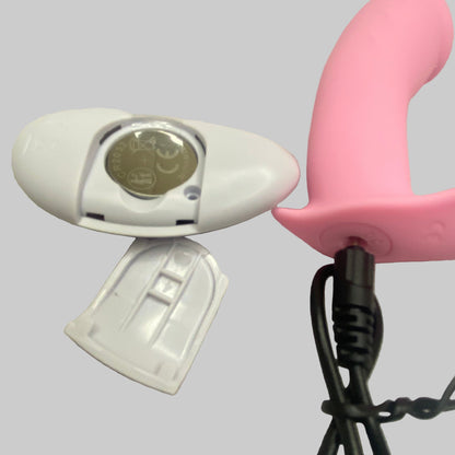 Remote Control Egg